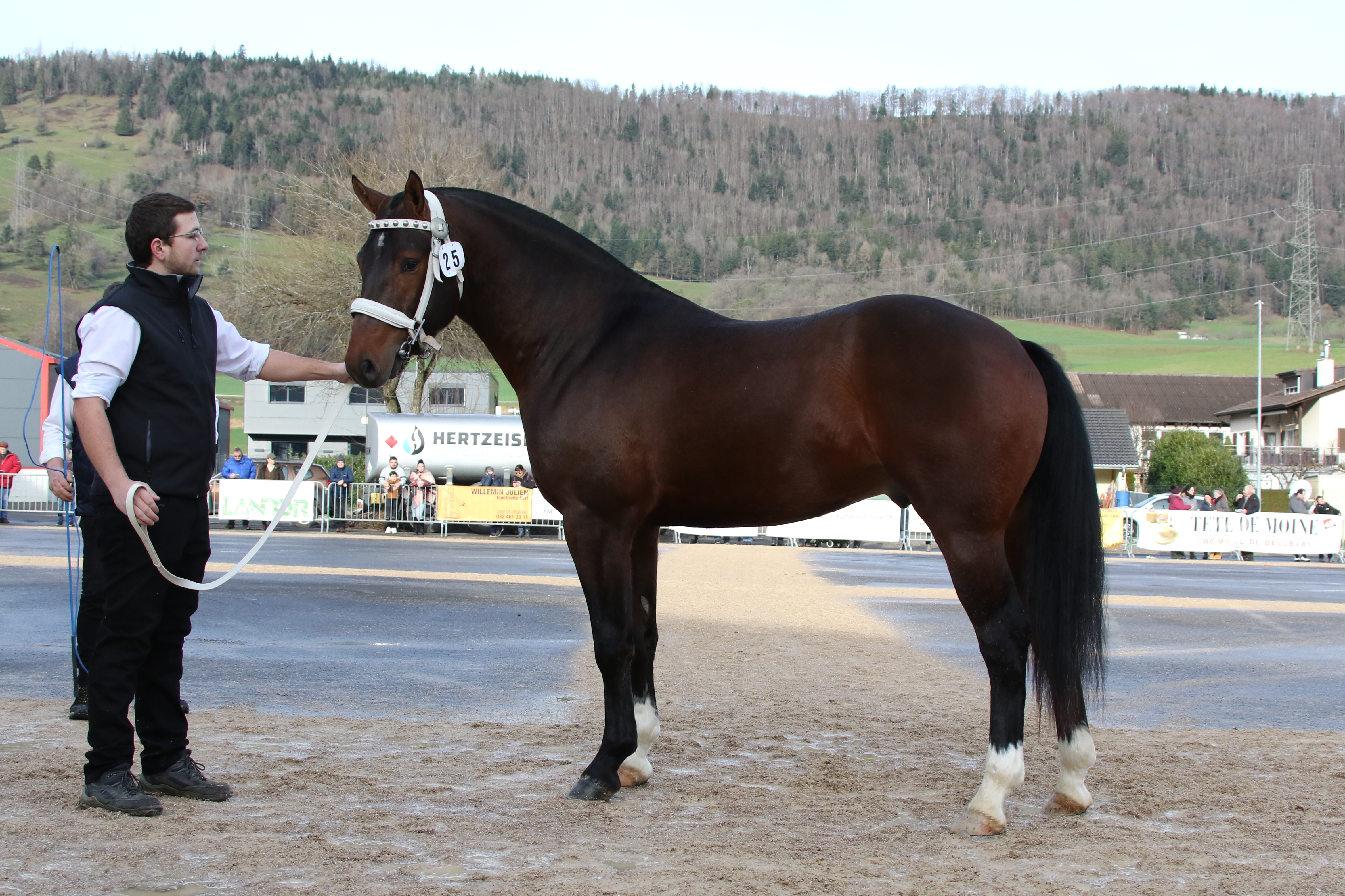 Litchy (18.04.20 / Little Boy - Halipot - Noble Coeur)