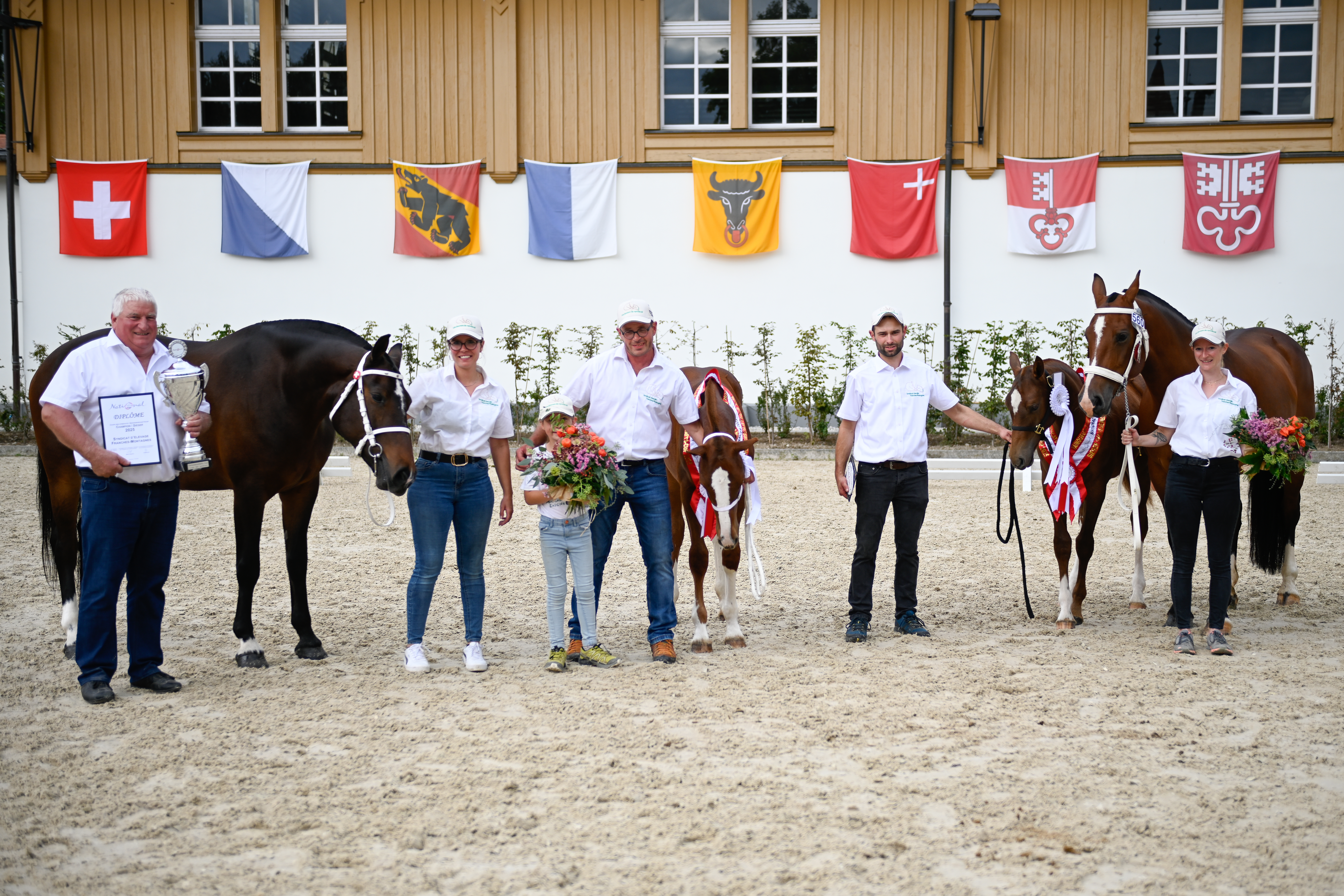 National FM - Finales suisses de sport et d'élevage franches-montagnes
