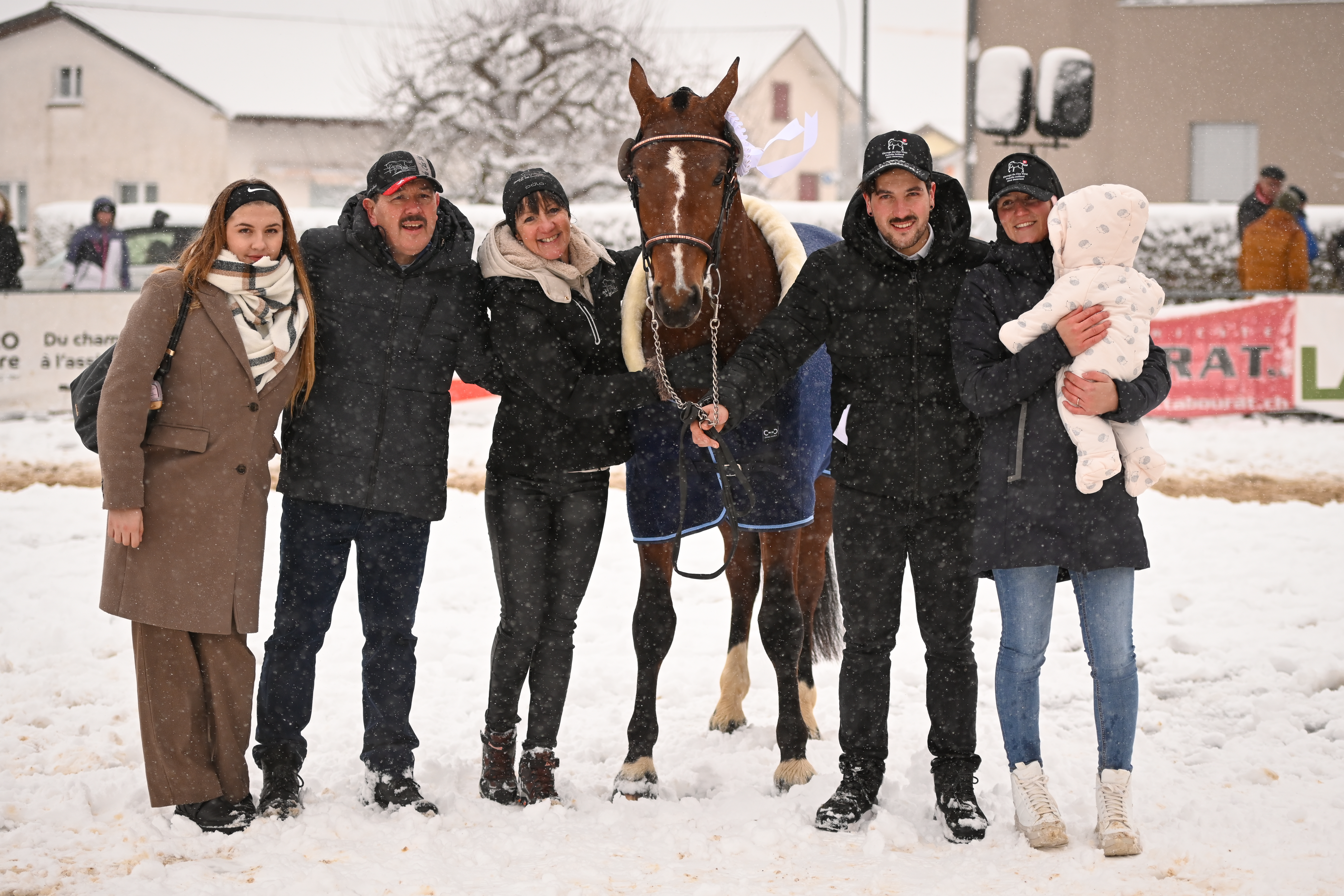 Nationale Freiberger Hengstselektion - Glovelier (NHSG)