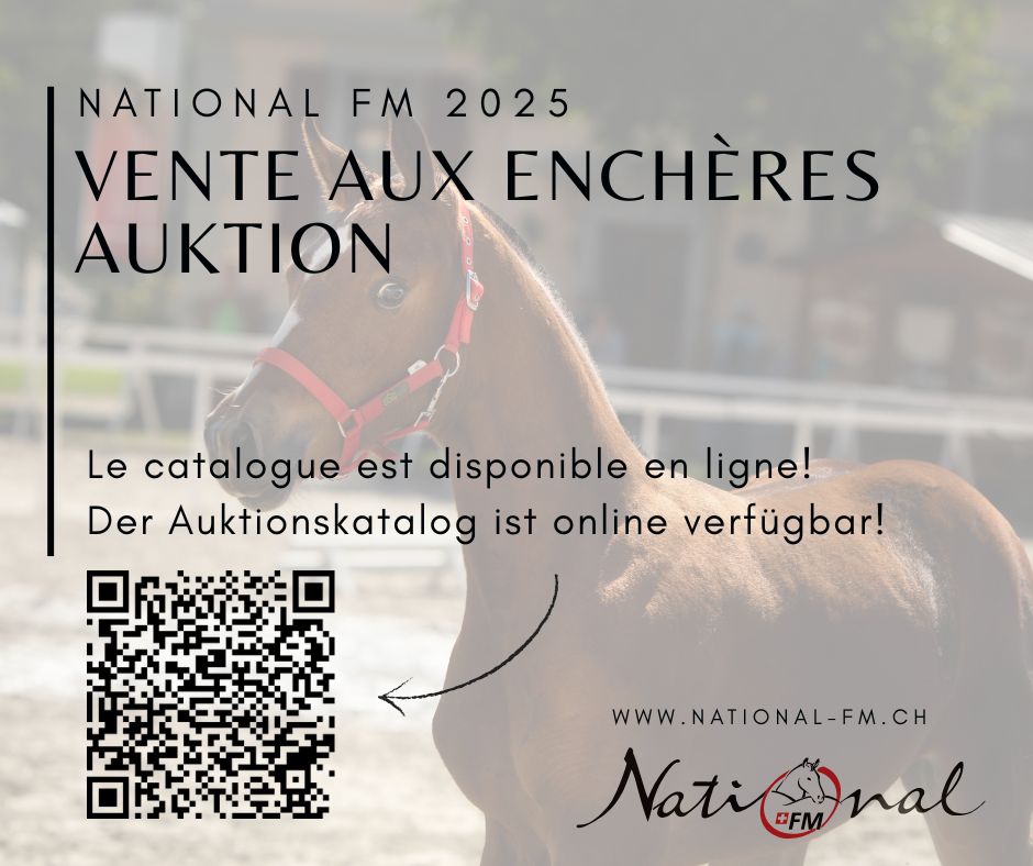 9ème Vente aux enchères nationale de poulains FM 2025