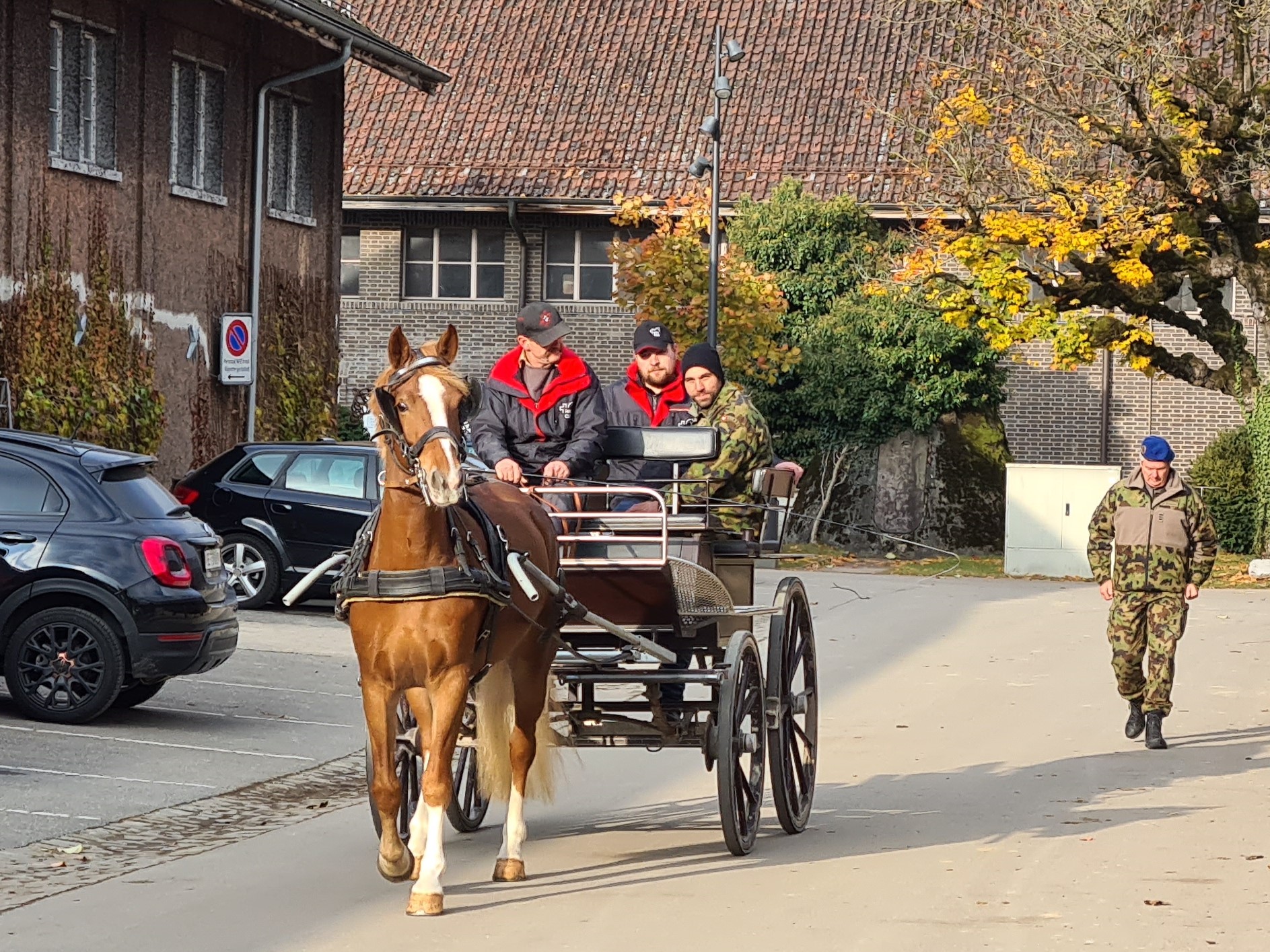 Achat van chevaux 2025