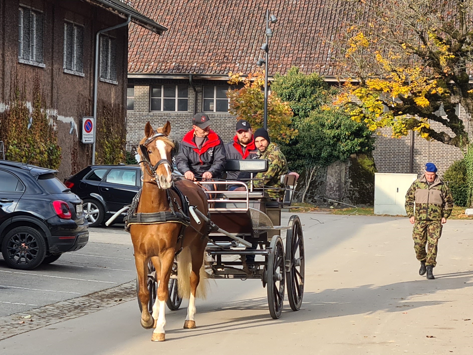 Ankauf von Landespferden für die Militärverwaltung