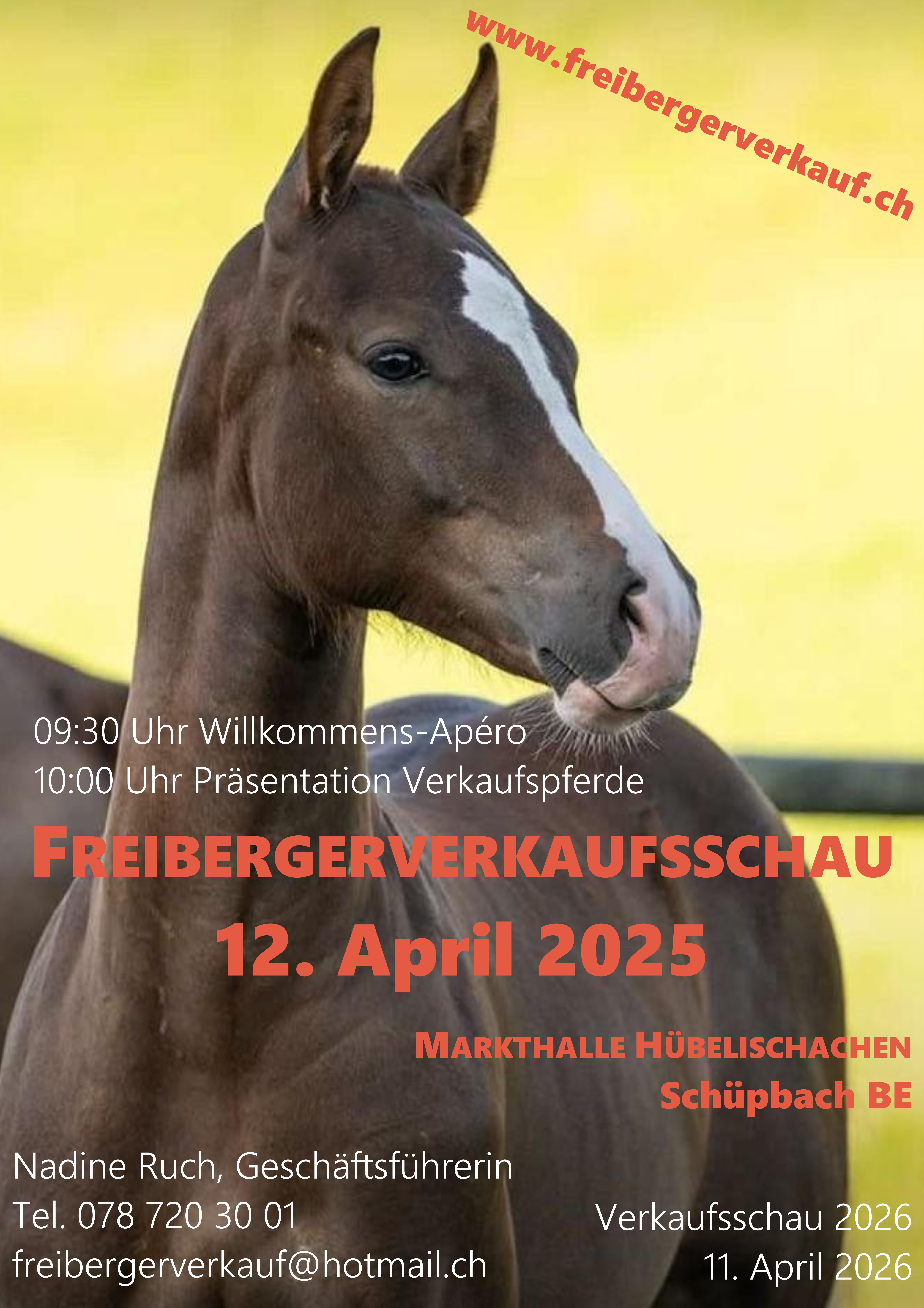 Freibergerverkaufsschau
