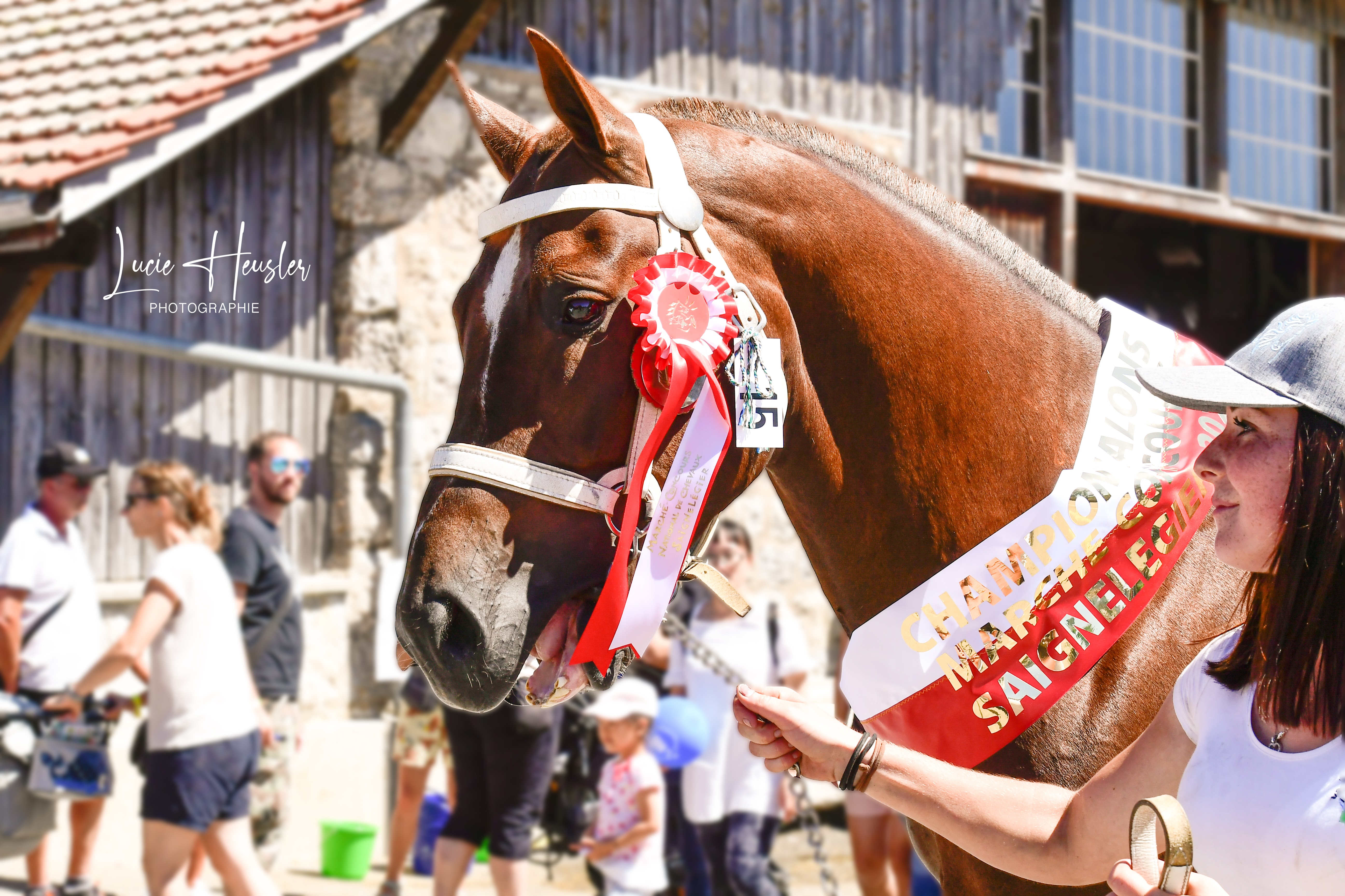 Marché-Concours - Saignelégier