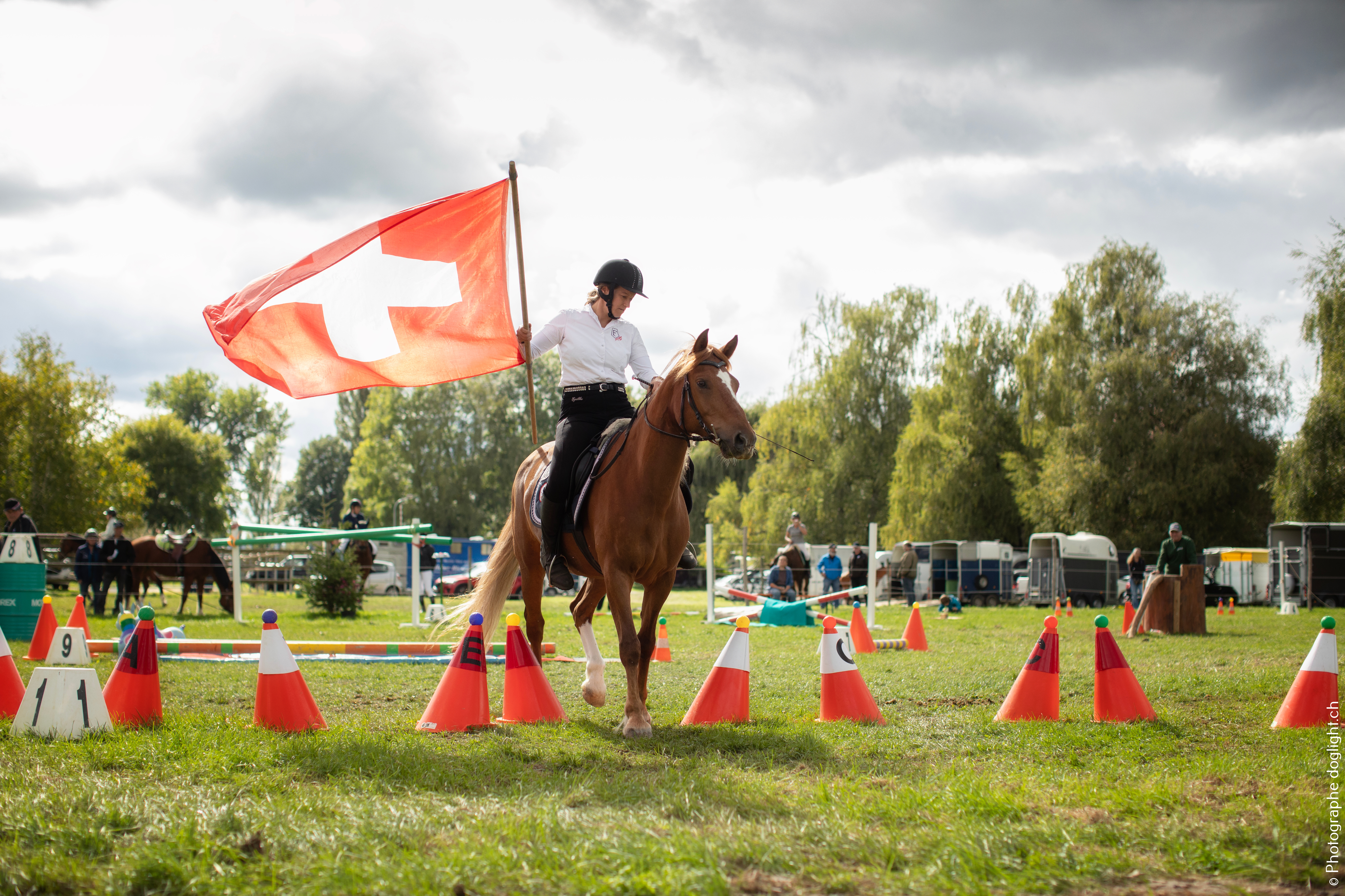 National FM - Finales suisses de sport et d'élevage franches-montagnes