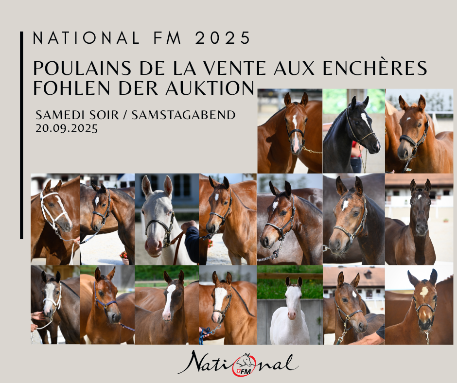 9ème Vente aux enchères nationale de poulains FM 2025