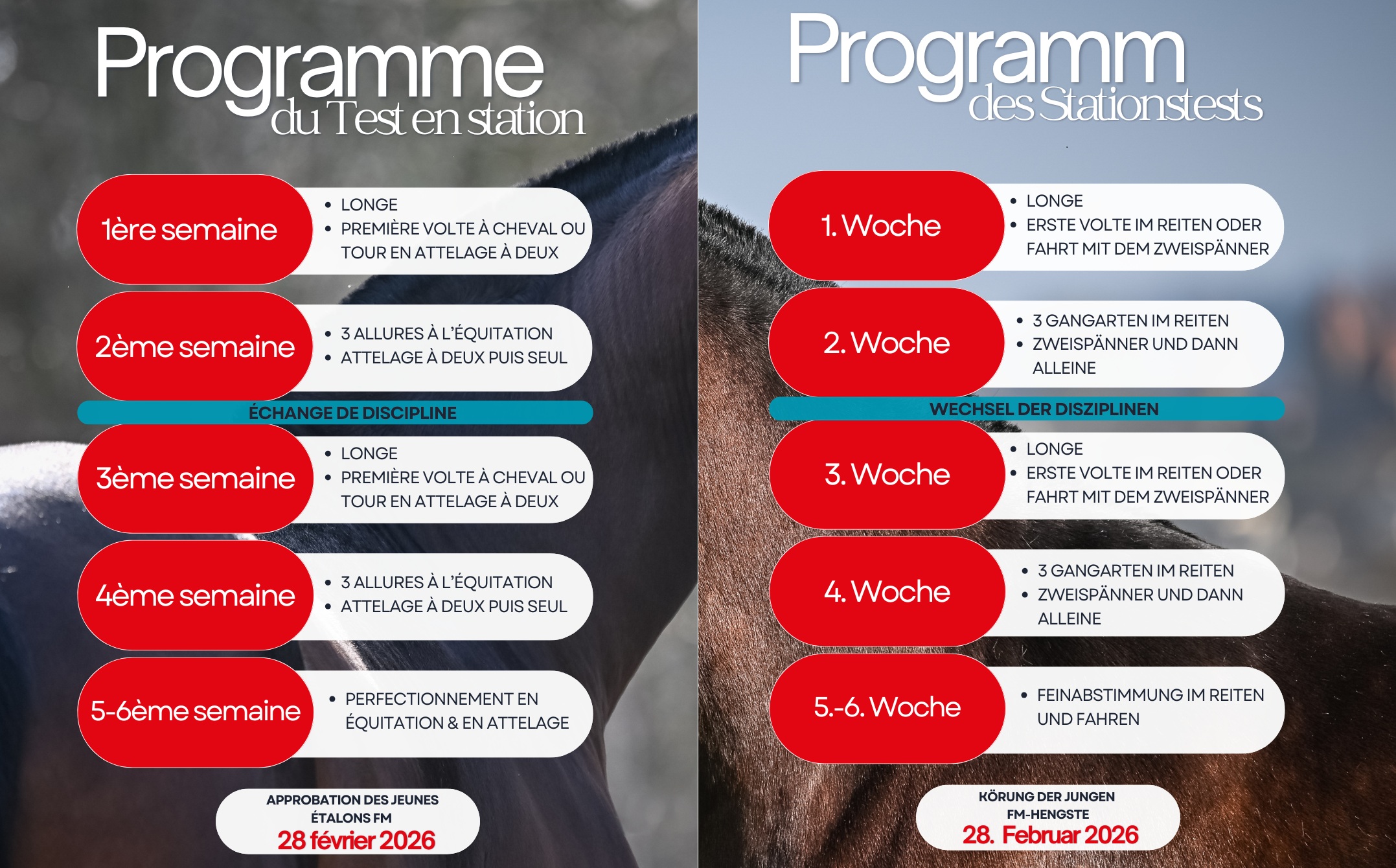 Test en station (TES) 2026