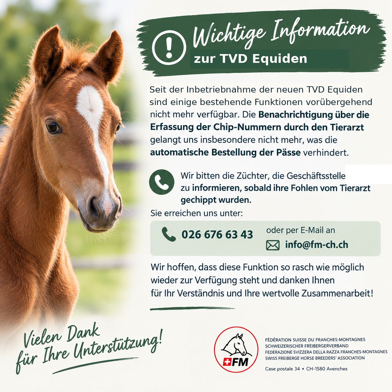 Wichtige Information zur TVD Equiden - Chip-Nummer