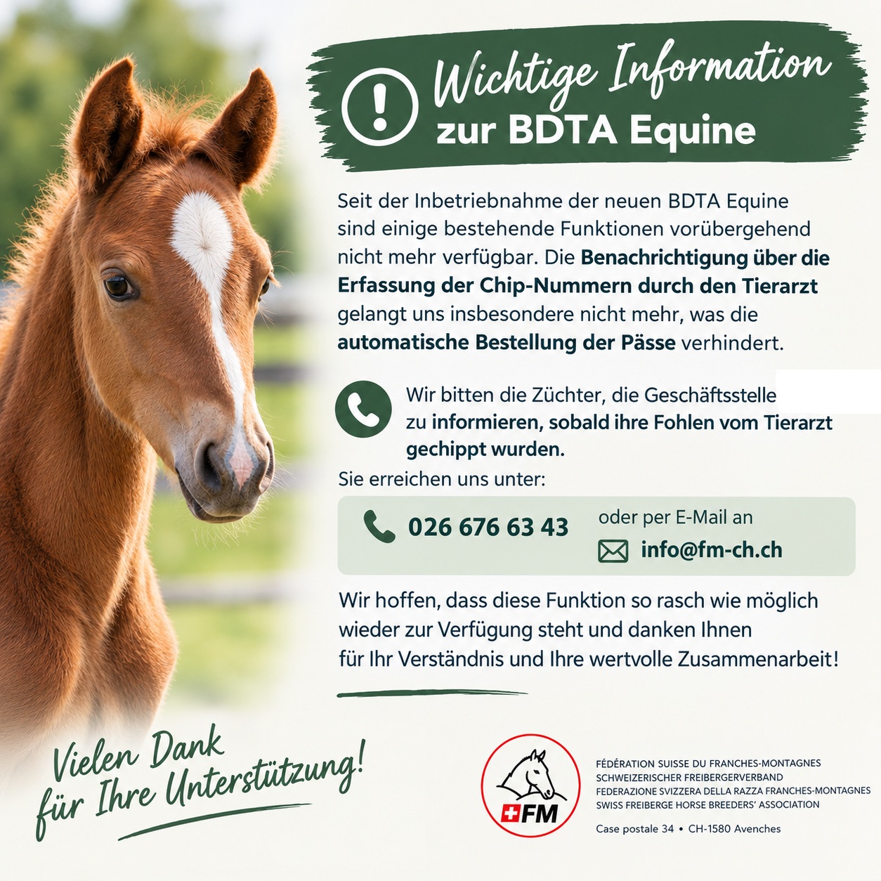 Wichtige Information zur BDTA Equine - Chip-Nummer